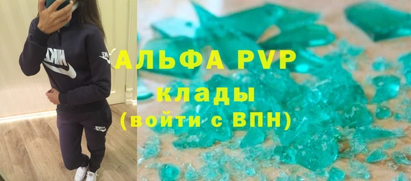 ПСИЛОЦИБИНОВЫЕ ГРИБЫ Баксан