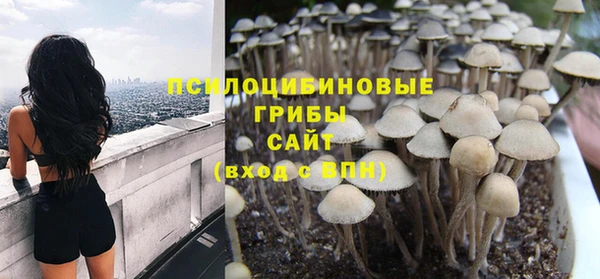 СК Балахна