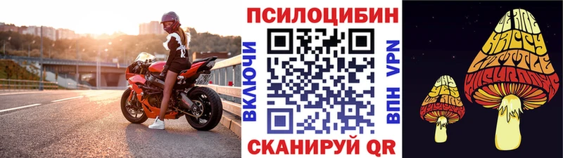 Псилоцибиновые грибы Psilocybe  площадка официальный сайт  Козельск 